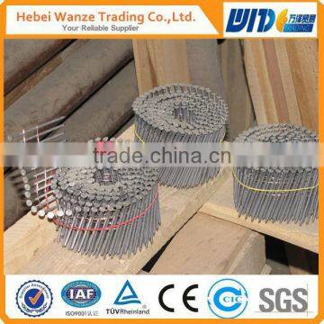 nail coil/1 1 4 coil roofing nails/plastic collated coil nails