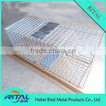 Humane Live Animal Traps