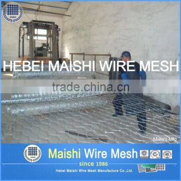 Galvanized Hexagonal Wire Mesh photo-5