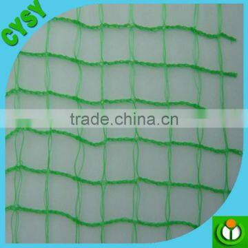 Agriculture Used 100% Virgin HDPE Plastic Green Weaving Anti-bird Net on Hot Selling