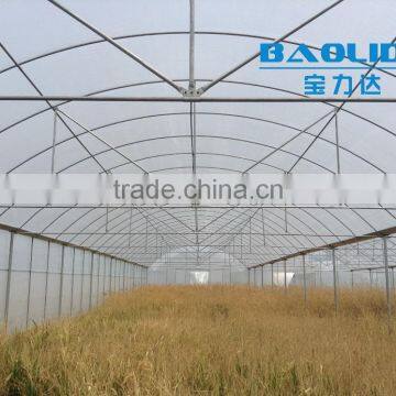 Plastic Inflatable Film Greenhouse photo-2