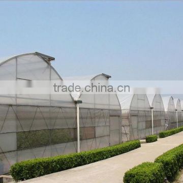 Agricultural greenhouse for hydroponics vegetable