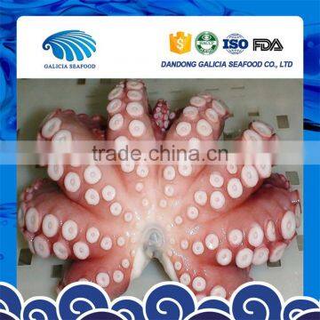 frozen raw octopus flower with many specifications