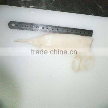 Best Seafood Frozen Squid U3