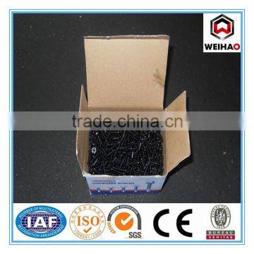 Daywall Screw photo-2