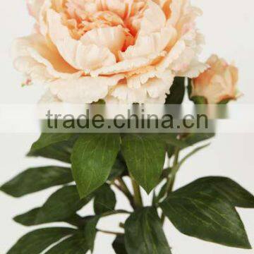 floristr exporter wedding shop 28&quotPeony Spray Salmon Peach