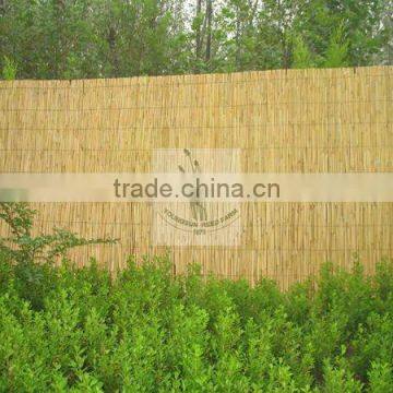 reed fence