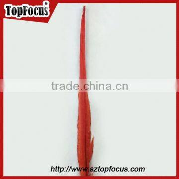 50-55cm Assorted Color Dyed Pheasant Tail Feathers photo-2