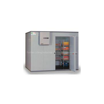 cold room cold storage quick-freezer for restaurant