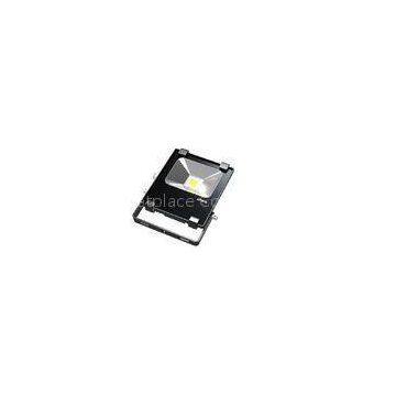 10W Waterproof LED Flood Light With 2700K - 7300K Bridgelux Beam Angle120
