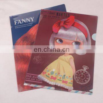 file folder Type and PP Material file folder