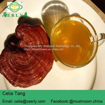 Reishi Mushroom Powder photo-4