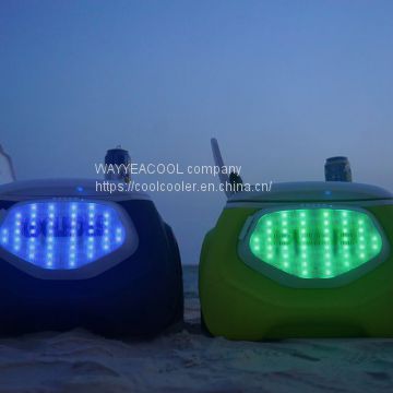 Large capacity insulated Bluetooth speaker refrigeration