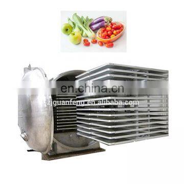 Honey Lyophilization Machine Vacuum Freeze Dryer for Royal Jelly photo-2