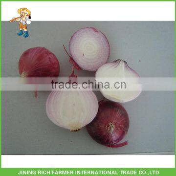 High quality and best price Chinese fresh onion 5-7cm size