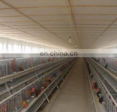 Hot Selling Africa Chicken Cage for Sale Automatic Chicken Layer Cage for Sale photo-3