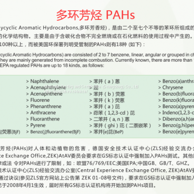 Phthalate 8P, Backpack, Shoes, Plastic Consumer Materials Test Report. photo-2