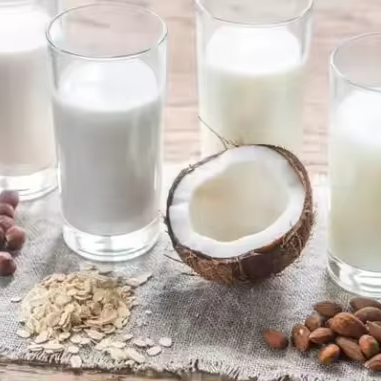 Nuts Milk Plant-based Milk Production Line