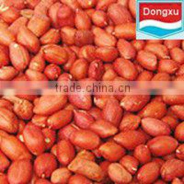 red peanut kernels