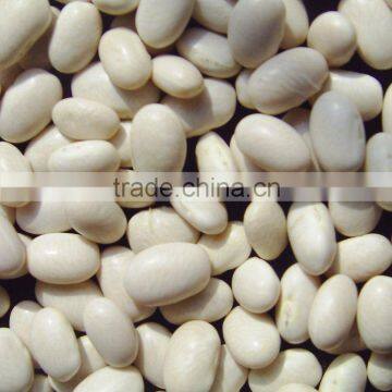 2010 crop japanese white kidney beans