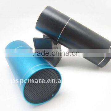 Mini outdoor speaker