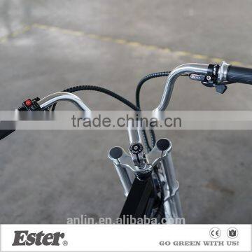 ESTER Pedal Bicycle Three Wheel Pedicab Manufacturer photo-2