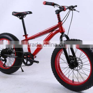 Fat Snow Bike With 4.0 Trie