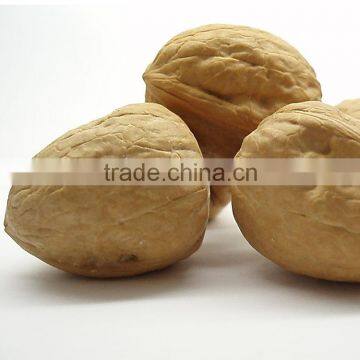 Chinese Good Quality Walnuts Prices