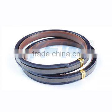 SPGW Hydraulic Piston Seals