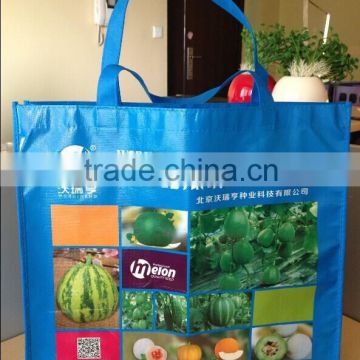 Wholesale Printed reusable PP Non Woven Shopper Bag