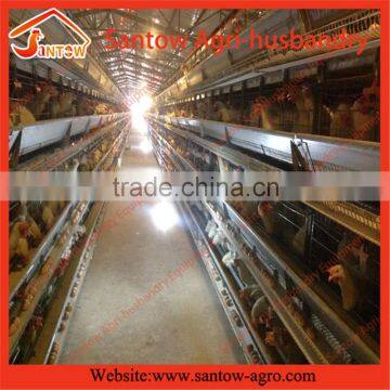 Hot Galvanzied H Type Breeding Cage for Africa photo-4