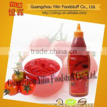 568g bottle pakaging tomato ketchup brands