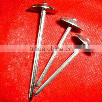 Botswana Market Galvanized Roofing Nail photo-2