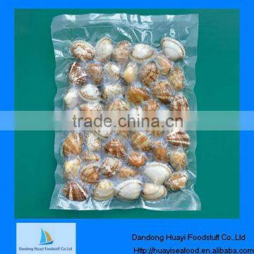 Good quality vacuum boiled shell clam