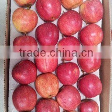 Fresh Royal gala and Gala Apples