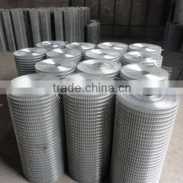 hot sale Top quality galvanized welded wire mesh roll