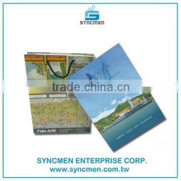 2016 New Elegant Paper Carrier Bag Custom Gift Paper Bag for Shopping photo-6