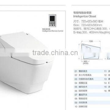 110V-240V intelligent toilet for wholesale warehouse rectangular electric water closet