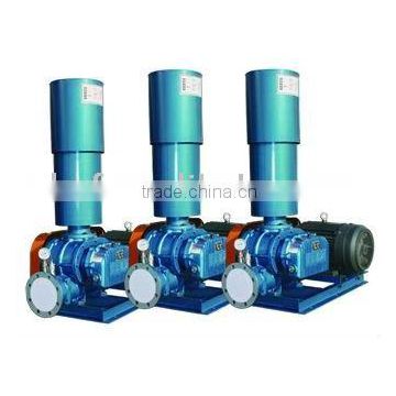 Roots Vacuum Pump