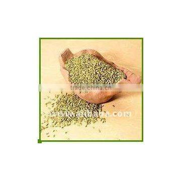 Black Fennel Seeds