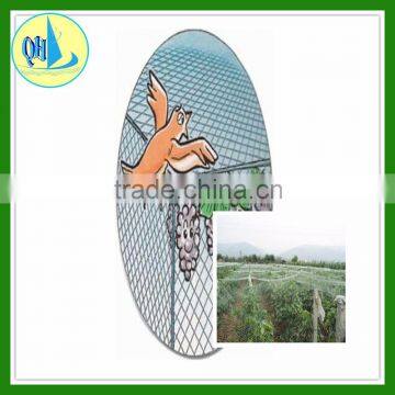 HDPE anti bird bird catching protect net