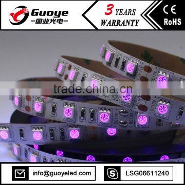 5050 SMD uv 395nm Led Strip With 60leds/m DC12V 24V Voltage CE ROHS Black Light