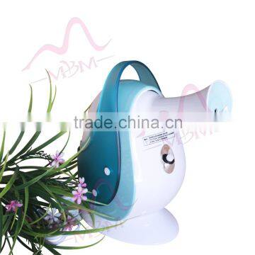 Chinese Supply Facial Steamer and Personal Hair and Skin Care at Home Micro Mist Hair Steamer