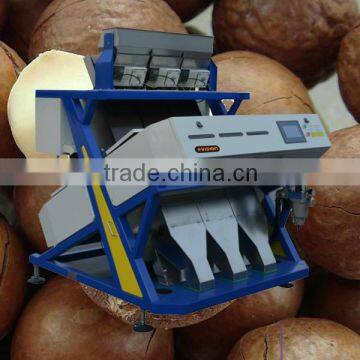 CE certificated VSEE Manufactured Macadamia CCD color Sorting Equipment