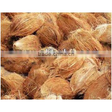 Husked Coconuts From Tamilnadu photo-5