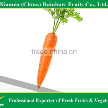 Fresh vegetables paper carton packing for fresh red carrot