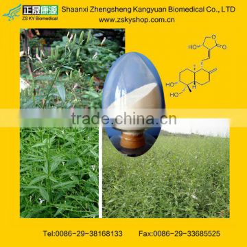 Andrographis Paniculata Extract from GMP Maufacturer