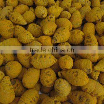 Dried Turmeric Exporters/Turmeric Curcumin photo-3