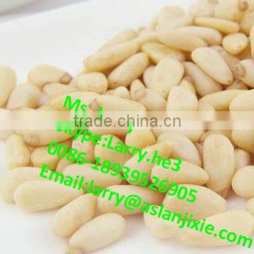 Pine Cone Peeler Machine/Siberian Pine Nuts Peeler/peeling Machine for Pine Nuts photo-4