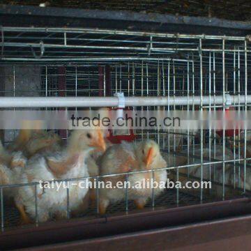 H type cage system of poultry farm